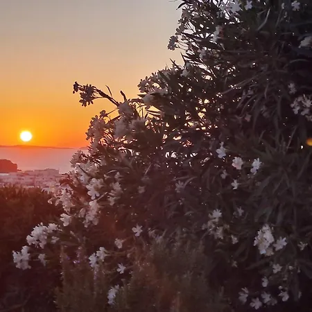 Διαμέρισμα Naxian Sofias Garden *