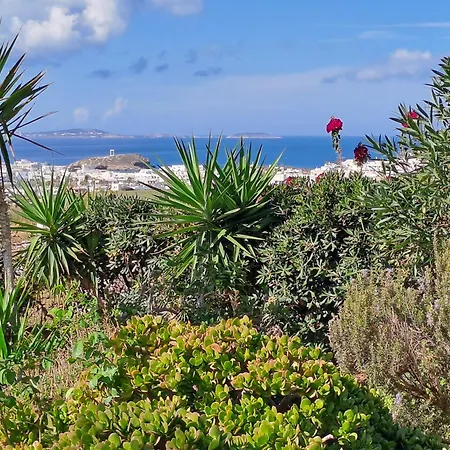 Διαμέρισμα Naxian Sofias Garden *