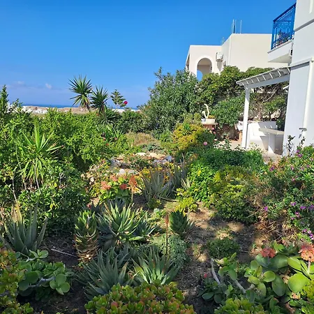 Naxian Sofias Garden Διαμέρισμα *
