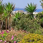 Naxian Sofias Garden Lägenhet Naxos City