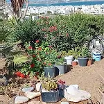 Lägenhet Naxian Sofias Garden Naxos City