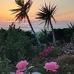 Naxian Sofias Garden Naxos City