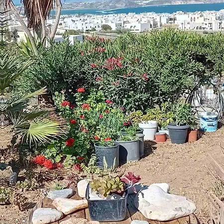 Apartment Naxian Sofias Garden Naxos City